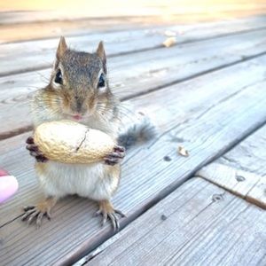 Meet your Posher, Patricia